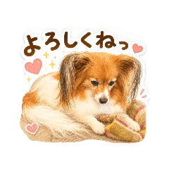 K.KURO_20260510212956