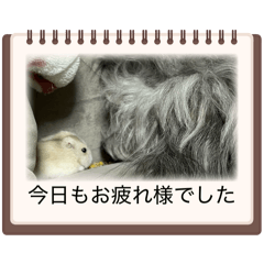 nosakazu_20260510215538