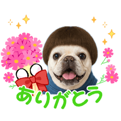 daichan_20260510214651