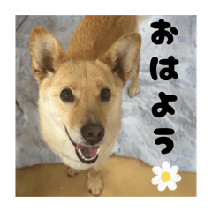 pooh_20260510215424