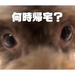 ichan_20260510215801