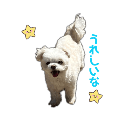 konakonatu_20260510221407