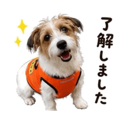 iku_20260510221417