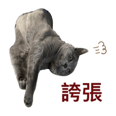 Mogu Blue Cat Daily 2.1