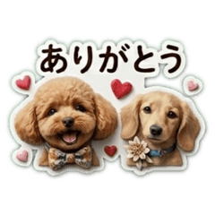 moka_20260429013706