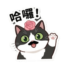 噗氏貓家族(噗噗篇)