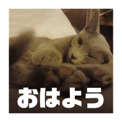 asami_20260510221452