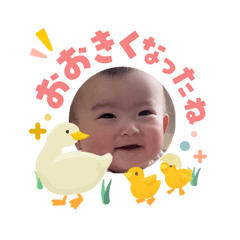 Yuki_20260510222133
