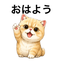 mugitan_20260510222517