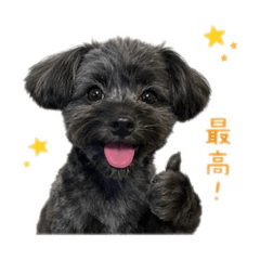 maro_20260510222708