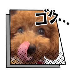 maron0224
