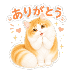 Kohaku the Fluffy Cat