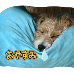 kakara_20260513220442