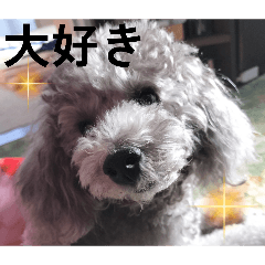 kumiko_20260510233155
