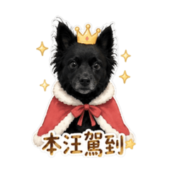 黑妹特輯