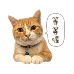 可愛嚕米