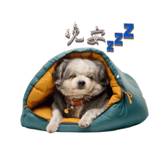 摸摸小可愛