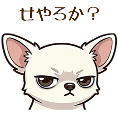 Cute Dog Shirochiva Straight Stickers