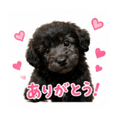Aina_20260510224032