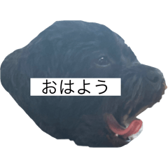 vvv_20260510224348