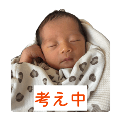 koa_20260510224515