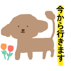 NijiDrop_20260510224847