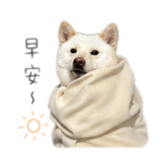 Cute dog bae