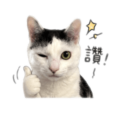 逼波逼波逼