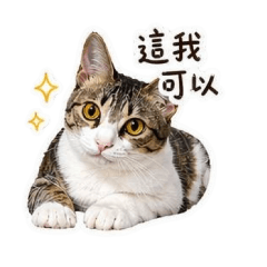 우미 일정