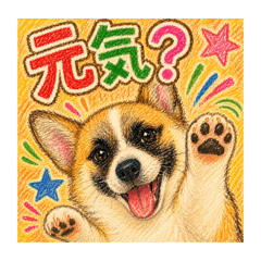 MAKI_20260511000748