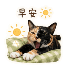 胖妞貼貼紙