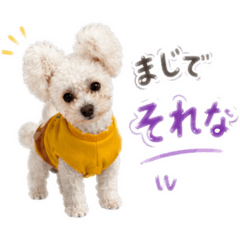 ranmaru_20260510232909