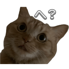 satoshi_20260511001937