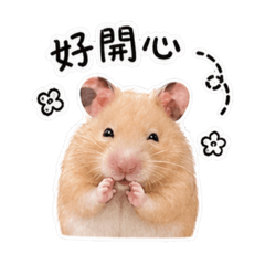 花生粉倉鼠