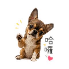 魯魯愛說話
