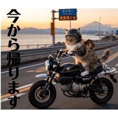 kaori_20260429132647
