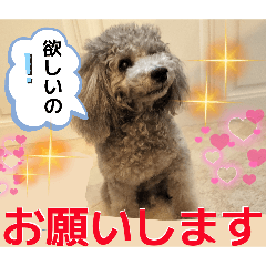kumiko_20260510232825