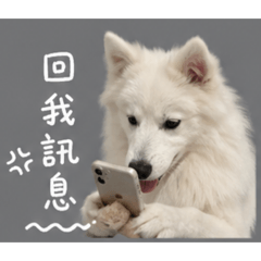 玉子燒有話要說～