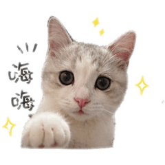 Q比&糯米