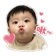 碩寶的日常用語➌ʕ •ᴥ•ʔ