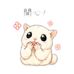 蜜袋鼯✰妹豬