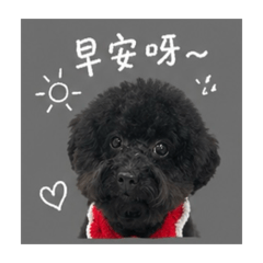 Bruce_20260430153156