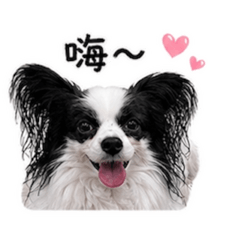 唐糖小王子