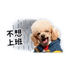 小可樂baby 2