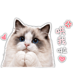 Reo很傲嬌