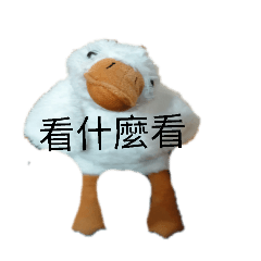 阿娘滷鵝（專用）