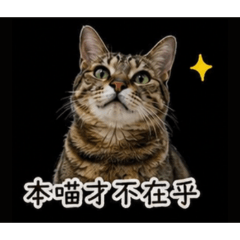 查理愛塑膠