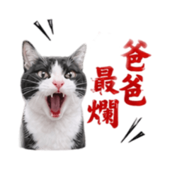 西西愛生氣