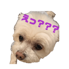 HIRO_20260510223713