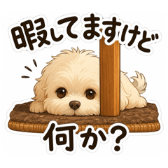 MT Stamp_20260510225625